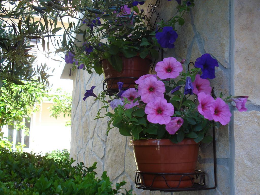 Apartments Villa Lilla Baška Voda Zewnętrze zdjęcie